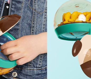 5 Tips para una alimentación saludable en el Regreso a Clases