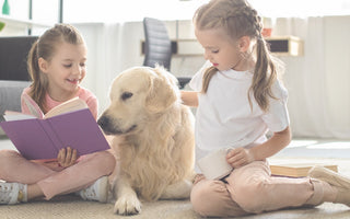 5 cuidados que debes tener con niños y mascotas en casa
