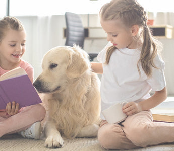 5 cuidados que debes tener con niños y mascotas en casa