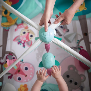 Gimnasio Deluxe Tiny Princess Tales