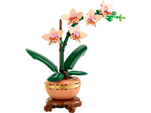Lego Botanicals: Miniorquídea (10343)