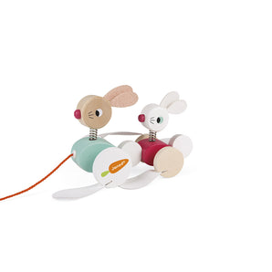 Conejitos Para Pasear Zigolos