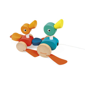 Patos Para Pasear Zigolos