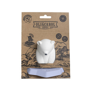 Ice Animals Bear