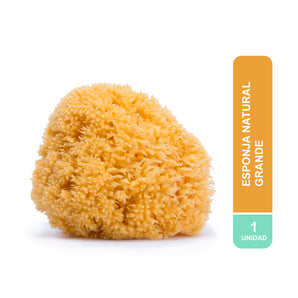 Esponja Natural Grande Suavinex +0 M